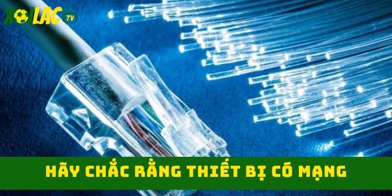 Đảm bảo chất lượng phát sóng ổn định 