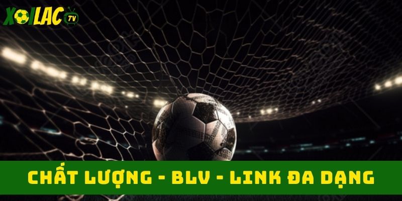 Hệ sinh thái làm việc chuyên nghiệp Hệ sinh thái làm việc chuyên nghiệp