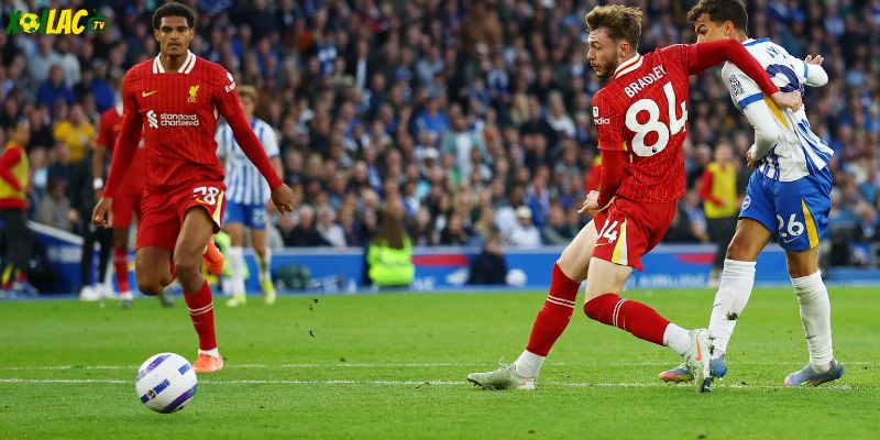Liverpool vs Brighton & Hove Albion: Hàng thủ Brighton pressing